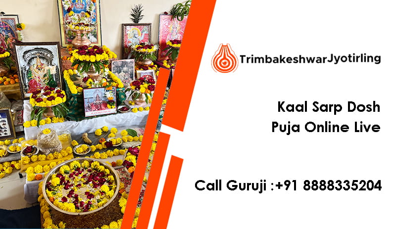 Kaal Sarp Dosh Puja Online Live 