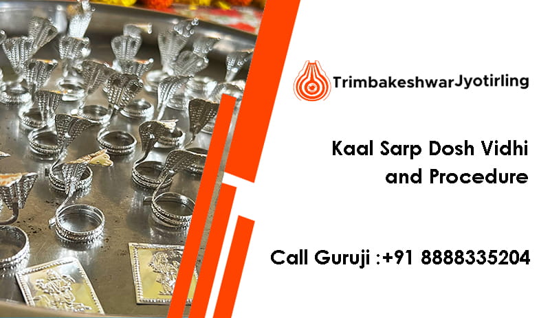 Kaal Sarp Dosh Vidhi and Procedure 