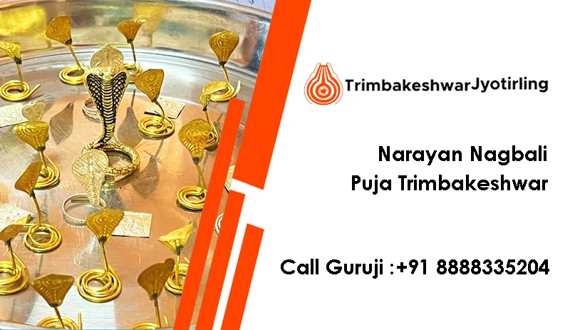 Narayan Nagbali Puja Trimbakeshwar