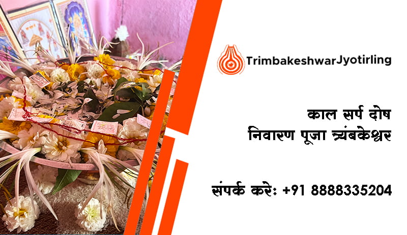 काल सर्प दोष निवारण पूजा त्र्यंबकेश्वर