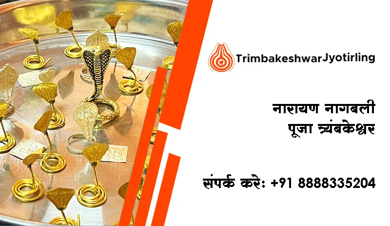 नारायण नागबली पूजा त्र्यंबकेश्वर