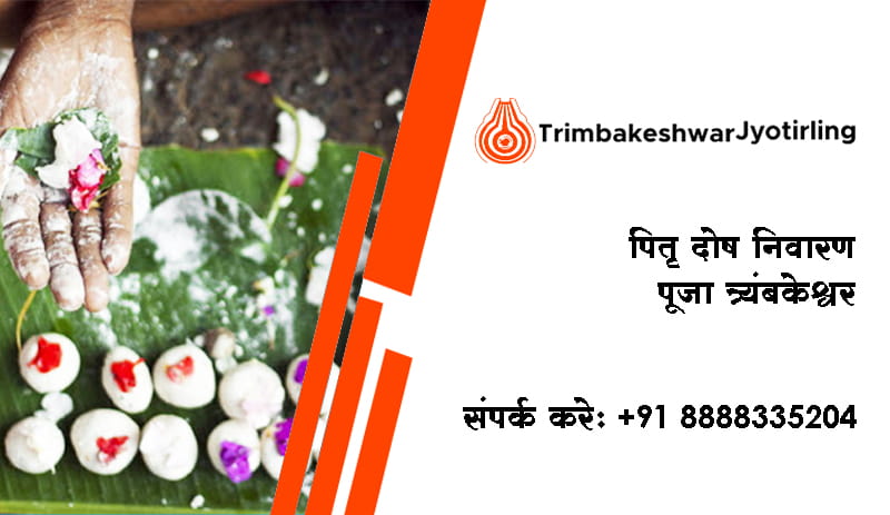 पितृ दोष निवारण पूजा त्र्यंबकेश्वर 